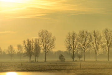 Fototapeta na wymiar Early morning rural landscape of frozen foggy grasslands with trees on the horizon
