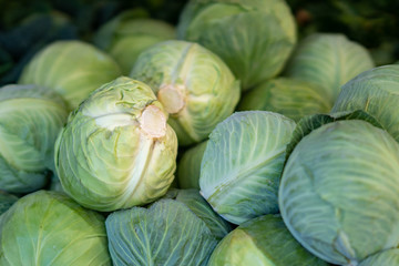 Fototapeta na wymiar Green cabbage for sale at a farmer's market stall