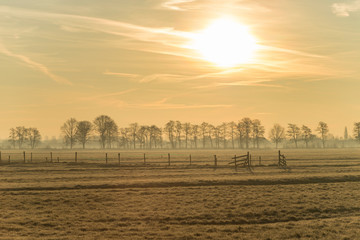 Open field landscape with wooden fence and row of trees on a foggy horizon and orange yellow hazy sky with sun  © Frank