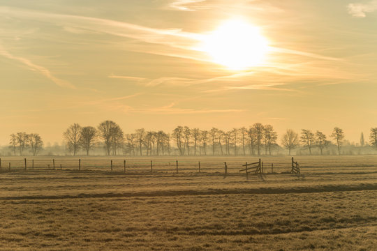 Open field landscape with wooden fence and row of trees on a foggy horizon and orange yellow hazy sky with sun 