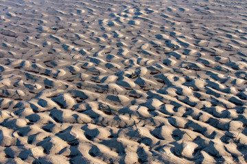 Fototapeta na wymiar Sandstrand am Darß