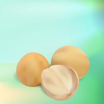 Realistic Fresh Lanseh Fruit