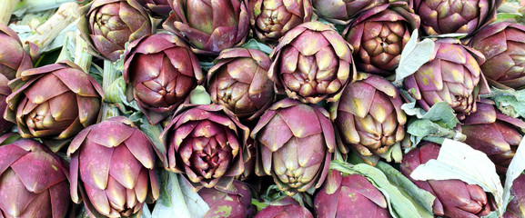 background of large ripe green artichokes prepared in the grocer