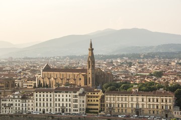 Obraz premium View of the Basilica di Santa Croce (Holy Cross) is the main Franciscan church in Florence. Aerial view from Piazzale Michelangelo. Florence, Italy.