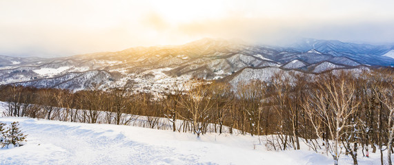 Fototapeta na wymiar Beautiful landscape with mountain around tree in snow winter season at sunset time