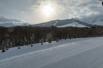 Fototapeta na wymiar 雪の積もるスキー場に朝日の射す穏やかな日の風景が美しい