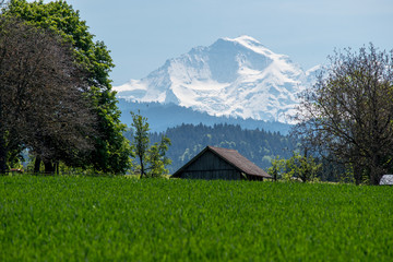 Jungfrau
