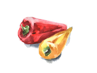 Set of red and yellow peppers. Watercolor illustration with black ink outline.