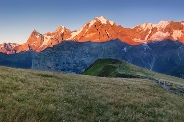 Summer in the Swiss Alps, Murren area, overlooking the Eiger, Monch and Jungfrau mountains, Canton...