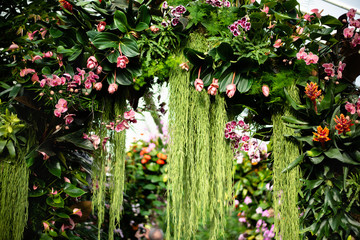 Beautiful colorful flower arangement made of orchid flowers