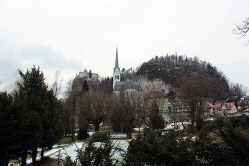 Parco arboreo di Bled con neve