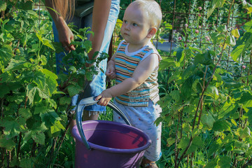 2009.07.18, Kaluga, Russia. Mother and her son gardening in summer day. Little boy helping his mother in the garden.