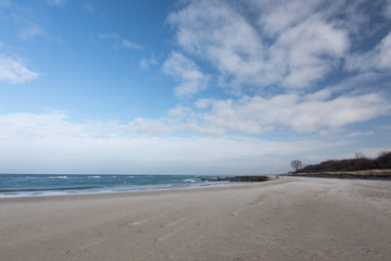 Fototapeta na wymiar Beach on the Baltic Sea coast (Darss peninsula) in winter