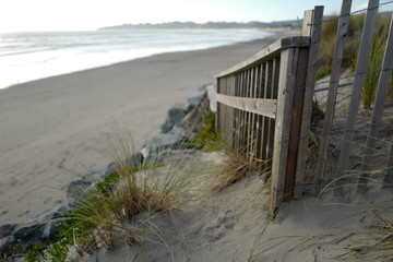 path to sea