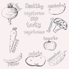 set of graphic vegetables with identification labels