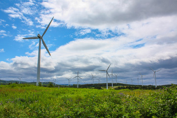 Wind turbines in green field under blue sky with clouds
