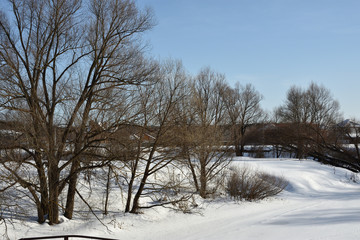 winter landscape with trees and blue sky