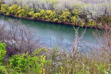 Spring landscape with river and trees