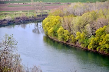 Spring landscape with river and trees