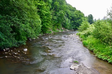 Spring landscape with river and trees