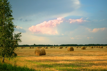 Sheaves of hay