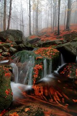 Naklejka na ściany i meble Autumn or spring forest river rocks view. Wild river rocks in autumn forest. Beautiful forest river rocks landscape. Giant Mountains, Czech Republic, Europe. Beautiful waterfall background concept