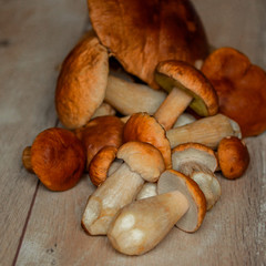 autumn porcini white mushrooms on a wooden table, side view, autumn seasonal traditional food, gift of forest