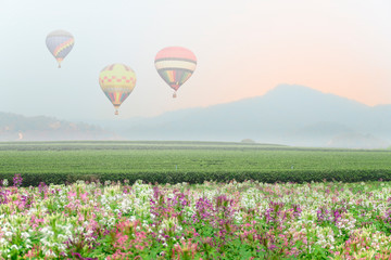 Hot air balloon over valley of tea plantation.