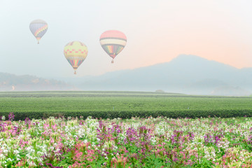 Naklejka premium Hot air balloon over valley of tea plantation.