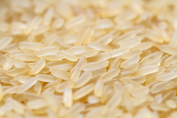 Texture of dry long golden yellow rice