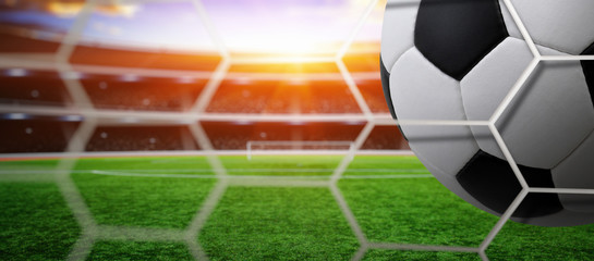 Soccer ball scores a goal