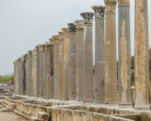 Historical site of Perge or Perga in Antalya, Turkey. Vast remains of prosperous Roman city....