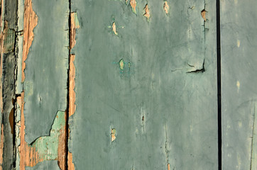 Cracked paint on old wooden door. Texture, background. Weathered wood light green and  orange