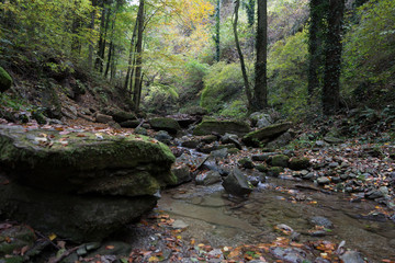 Stream in a mountain gorge in the autumn forest.