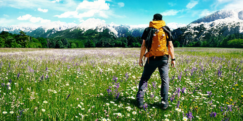 Mann mit Rucksack auf einer Blumenwiese genießt die Aussicht auf die Alpen