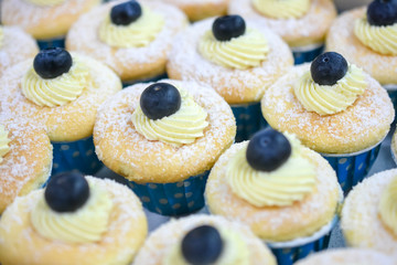 Vanilla cheese cupcake topping with blueberry