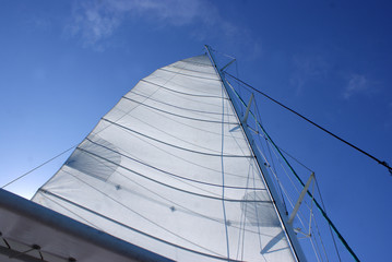 catamaran sail bottom view