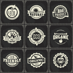 Set of vintage eco green chalk lettering sticker labels of healthy organic natural farm fresh food on blackboard