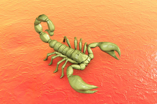 Scorpion on red background, realistic 3D illustration