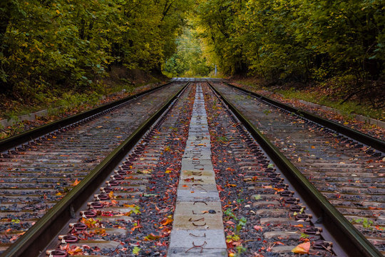 Tramways through the autumn forest