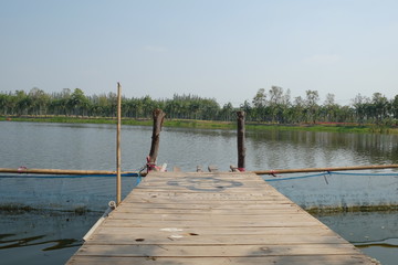wooden bridge 