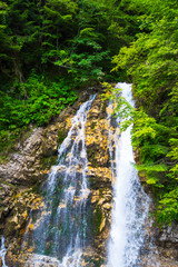 Fototapeta na wymiar Wild Urlatoarea waterfall , Bucegi Mountains, romania