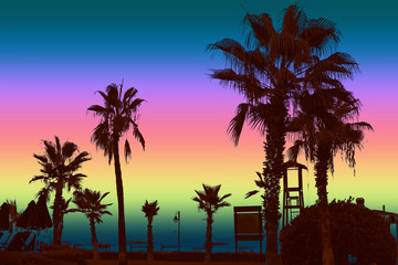 Palm trees at dusk. Colorful background. Summer night.