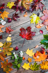 Gold autumn. Wet maple leaves on wooden background	