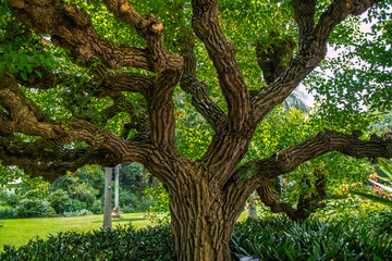 Fototapeta premium Parque melbourne