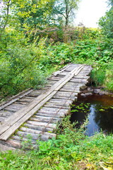 Wooden bridge over the forest river