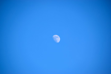 Mond am Tag, Halbmond, Blauer Himmel, Halbmond