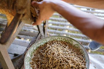 feed production. machine for producing fodder pellet for feeding animal.