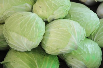 Obraz premium Head cabbage for cooking at street food