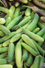 Fresh cucumbers for cooking in the market